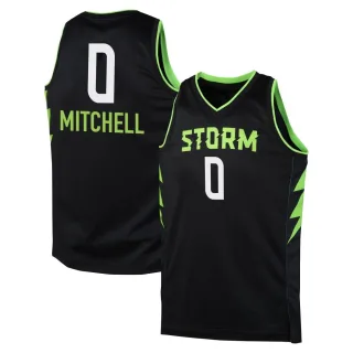 Men's Seattle Storm Tiffany Mitchell Black 2024 Rebel Edition Jersey